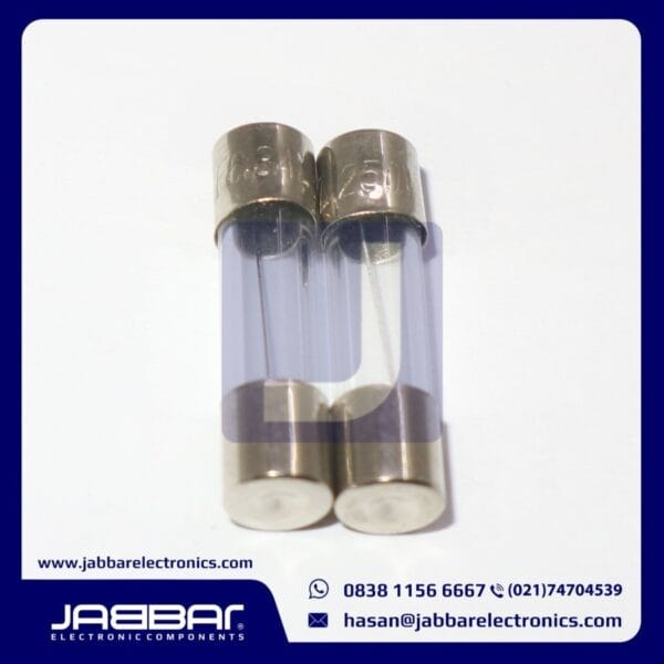 6.3A 250V - F6.3AL 250V FUSE GLASS (L= 2 cm W= 0.5 cm)