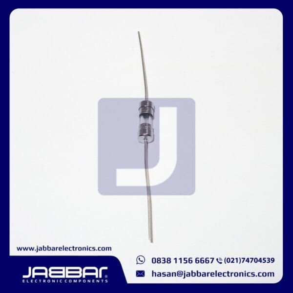 2A 250V - F2AL250V DIP FUSE GLASS (L= 1.1 cm W= 0.3 cm)