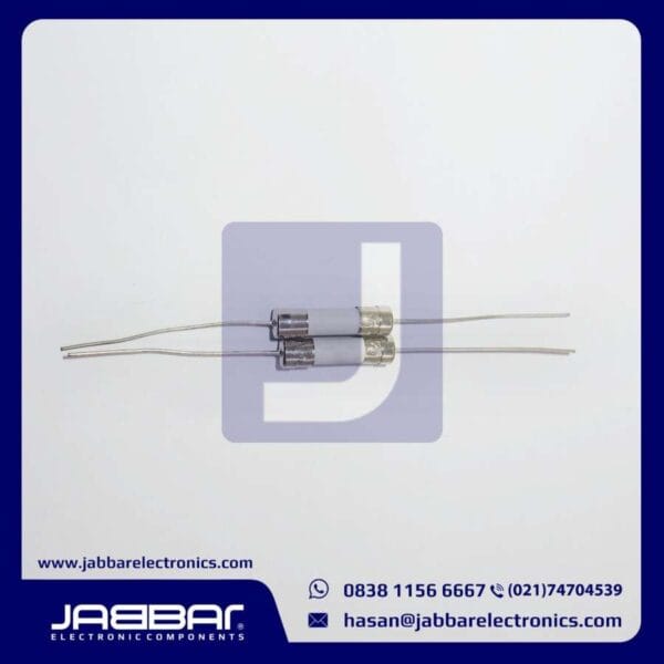 6.3A 250V - 6.3AL250V FUSE DIP CERAMICS (L= 2 cm W= 0.5 cm)