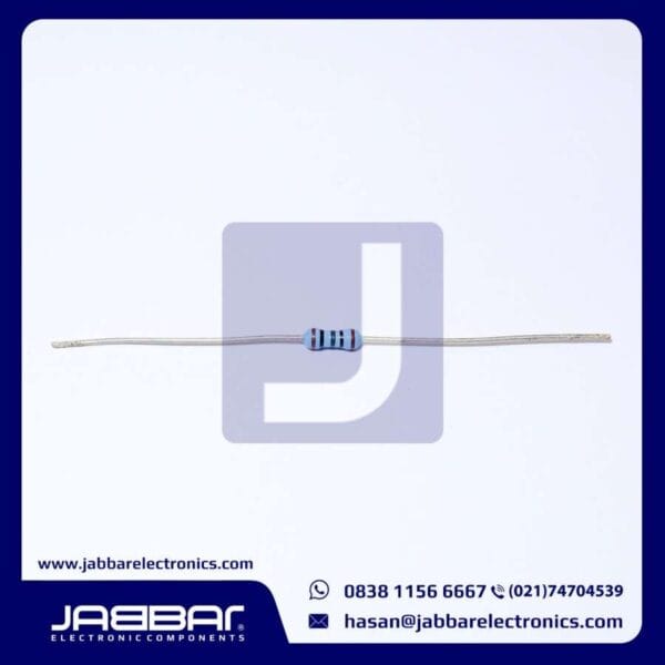RESISTOR 100 OHM 1/4W (Seperempat) 1% DIP - BIRU