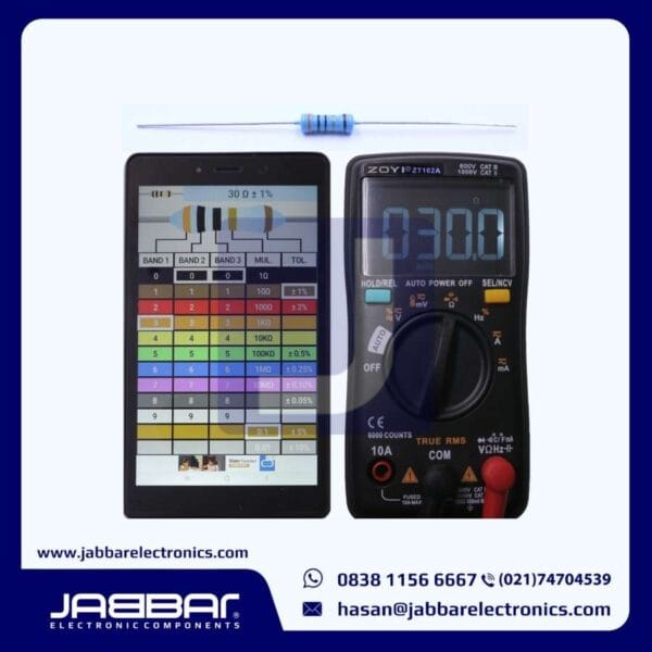 RESISTOR 30 OHM 1/2W 1% DIP - BIRU