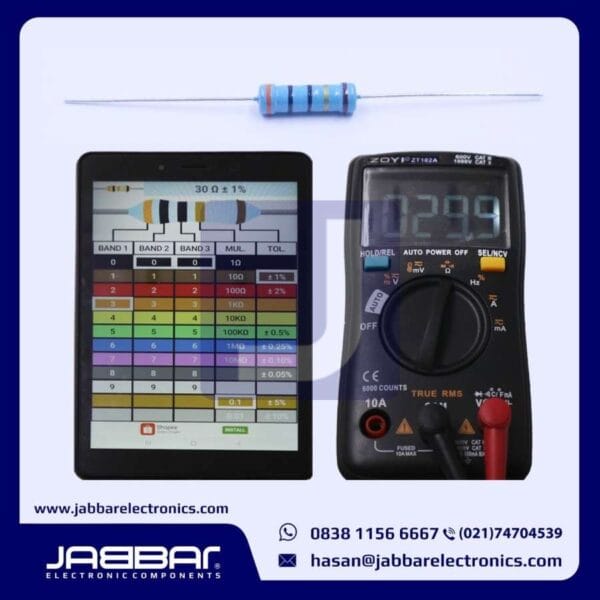 RESISTOR 30 OHM 2W 1% DIP - BIRU