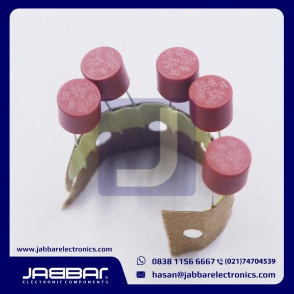 FUSE T50mA 250V (BLOW MICRO) DIP2