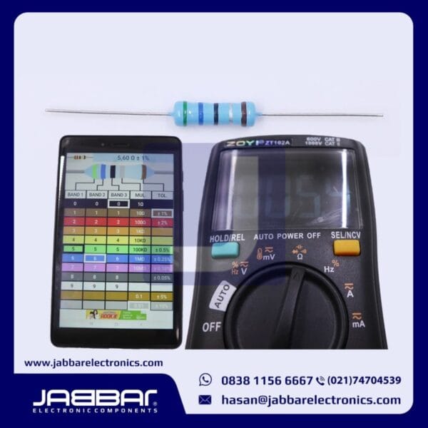 RESISTOR 5R6 OHM 2W 1% DIP (5,60 OHM) - BIRU