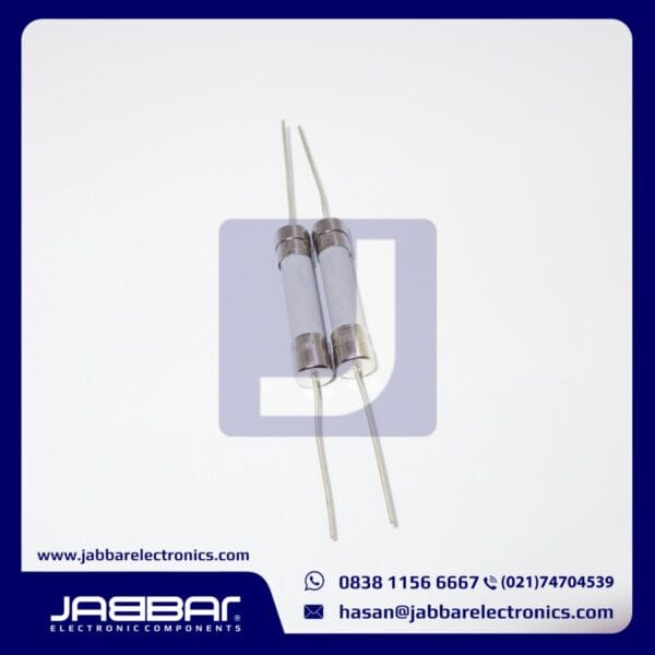 25A 250V DIP FUSE CERAMIC 3.1 cm x 0.6 cm