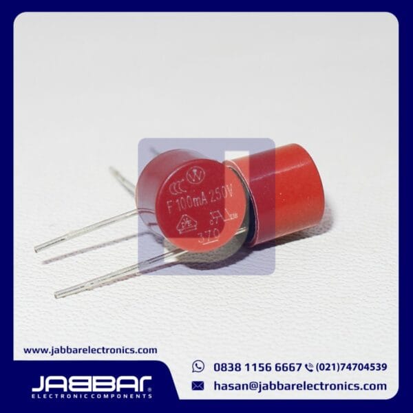 F100mA 250V DIP2 (BLOW MICRO-CIRCLE)