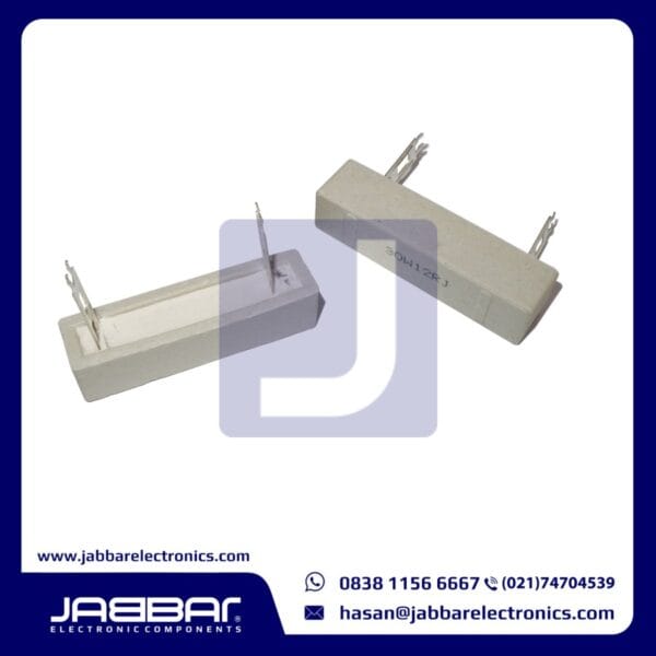 30W12RJ (30W 12 OHM 5%) RX27-3 RESISTOR CERAMIC CEMENT