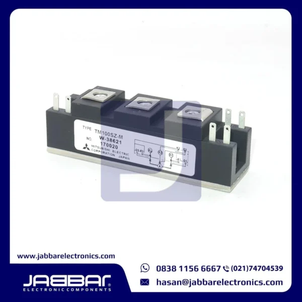 TM100SZ-M MODULE